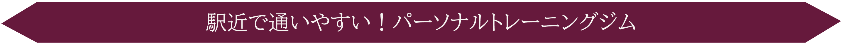 おひとりさまトレーニングジム